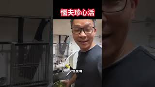 懦夫珍心活，移民失敗賴老婆？