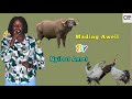 Mading Aweilda By Nyibol Amel South Sudan Music 2025 