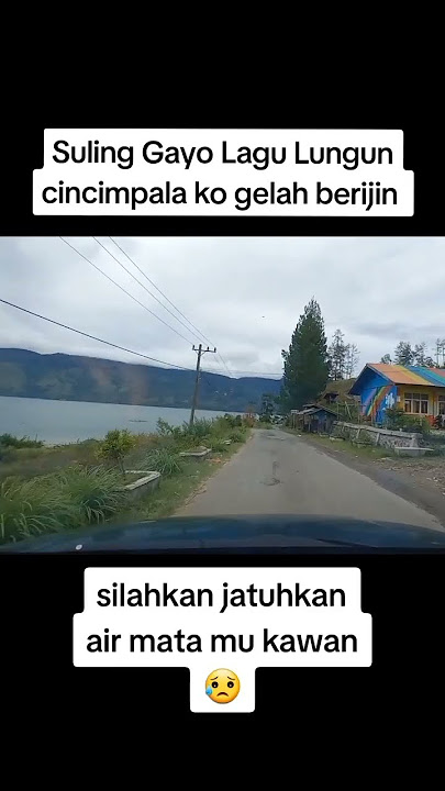 Seruling Lagu Lungun Gayo #lungun #lagulungun #seruling #serulingsedih #shortsfeed #shorts #fyp