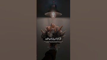 قراءة عراقية لسورة الجاثية