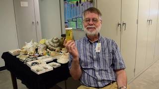 Ask A Scientist Why Are Slugs So Slimy?