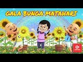 Sal Priadi - GALA BUNGA MATAHARI | cover #galabungamatahari