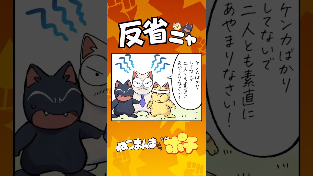 反省ニャ【ねこまんまのポチ】 #ねこまんまのポチ #猫 #漫画 #アニマンガ