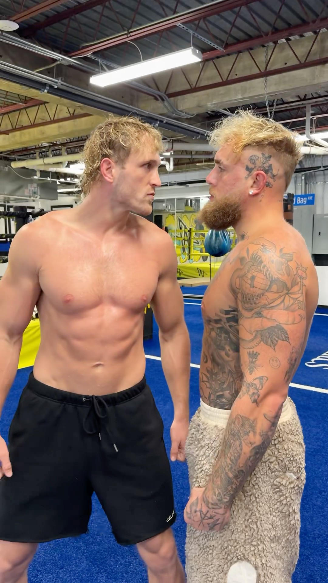 One Paul will fall March 27th - Press conference tomorrow at 4pm ET on Instagram Live