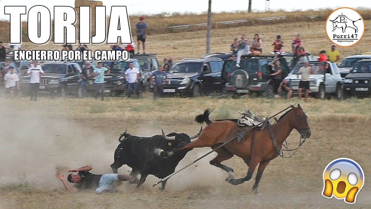 👀ENCIERRO POR EL CAMPO 🌾 TORIJA 2025 🙌ESPECTACULAR TORO!!🚨
