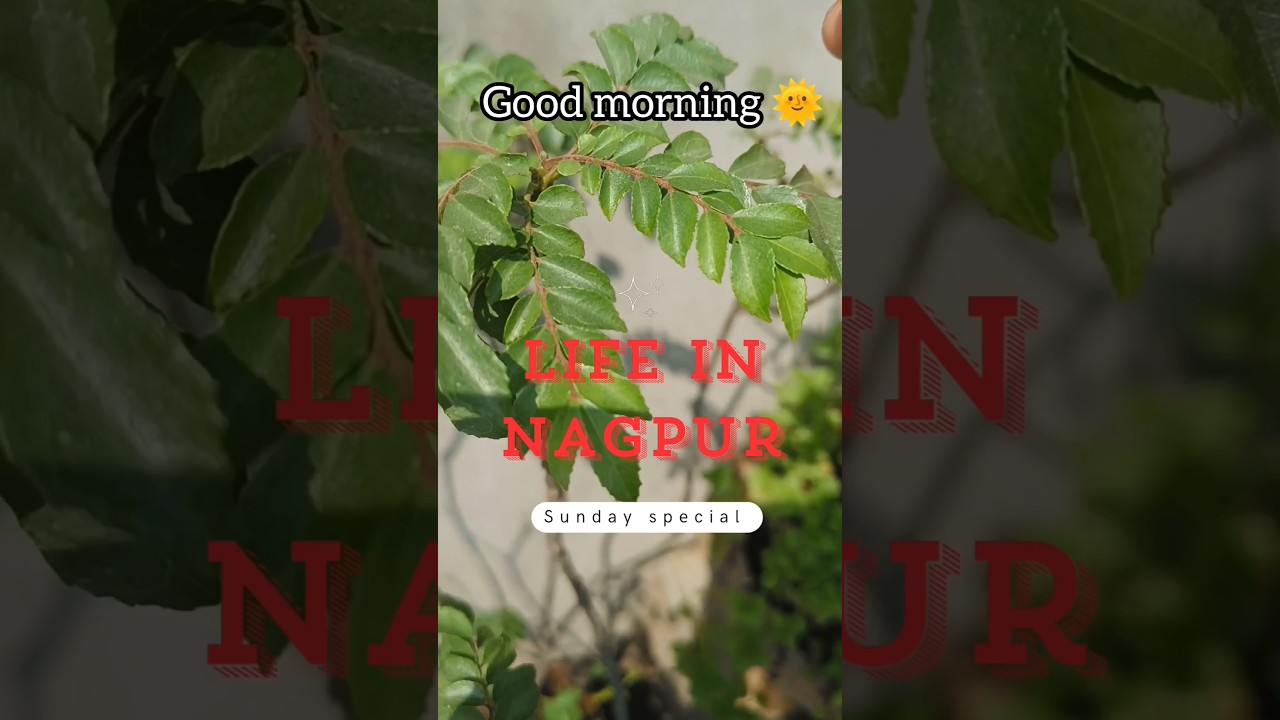 Sunday Special Menu |Nagpur | Morning to night vlog