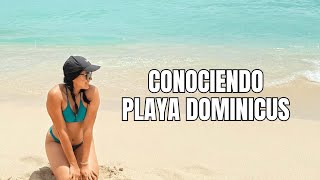 ¡Así es la increíble Playa Dominicus en 2025! 🏝️☀️
