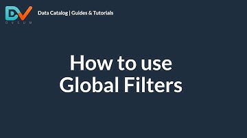 How to use Global Filters in DvSum Data Catalog