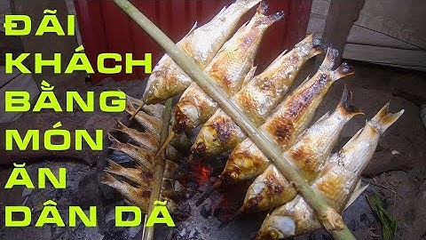 Món Ăn Dân Dã Đãi Khách | Rắn - Cá Suối - Lõi Chuối - Xị Đế