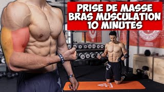 Prise de masse bras biceps triceps (musculation programme)