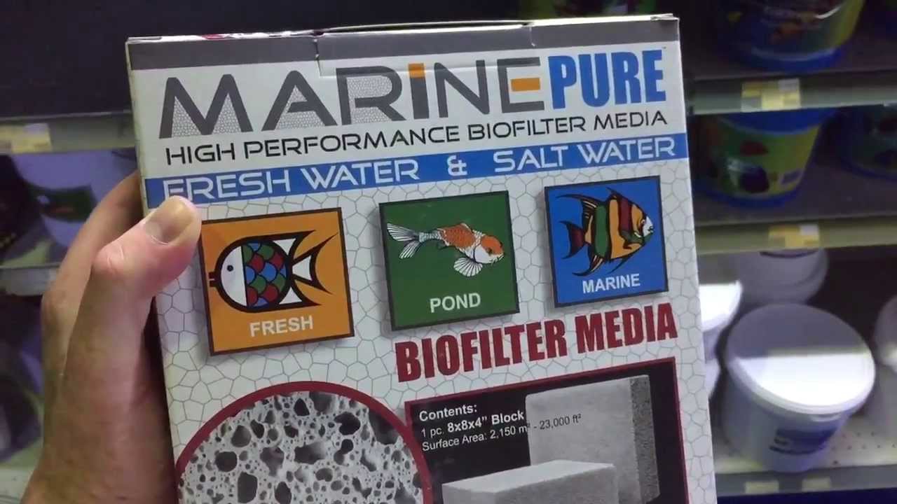 Which Marine Pure product do you need? - YouTube