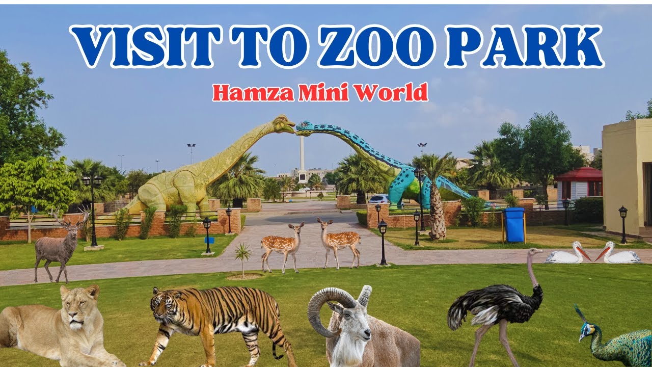 Visiting Fabulous Zoo Park - Hamza Mini World - YouTube