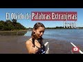 Olvido de Palabras Extranjeras - Freud