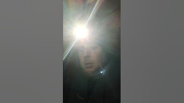 sealing plumbing voids in a crawl space: Wildlife 101