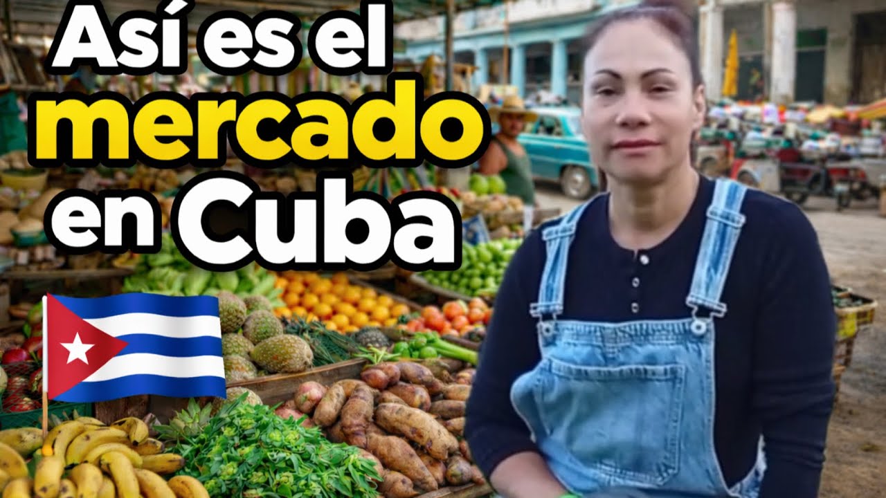 Así es un mercado en Cuba 🇨🇺 | Ajíes, tomates, carne y vida real en La Habana