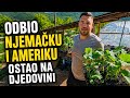 Odbio otići iz BiH, dao otkaz i izgradio posao sa 150.000 sadnica (VIDEO)