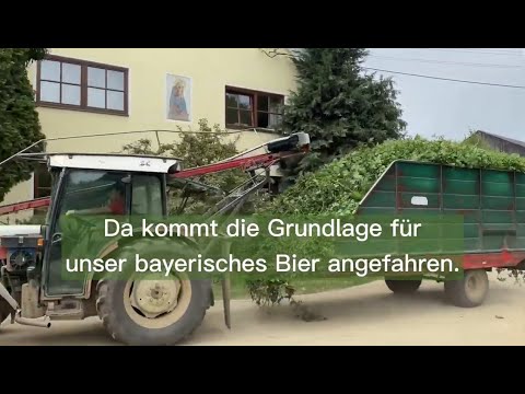 Video: Die Seitliche A-Straße Des Yakima-Tals Ist Eine Der Bekanntesten Hopfenanbaugebiete Des Landes