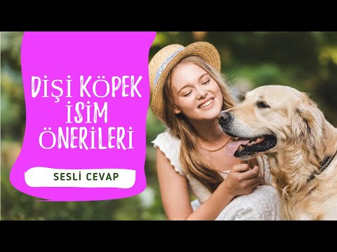 En Güzel Dişi Köpek İsimleri