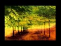 Miniature de la vidéo de la chanson Cantata For Children's Choir And Orchestra, Op. 3 "Meie Aed": Ii. Andantino Cantabile