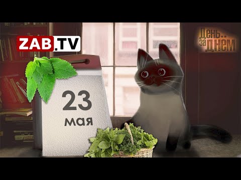День за днём