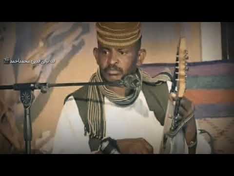 ساجع الكنار 