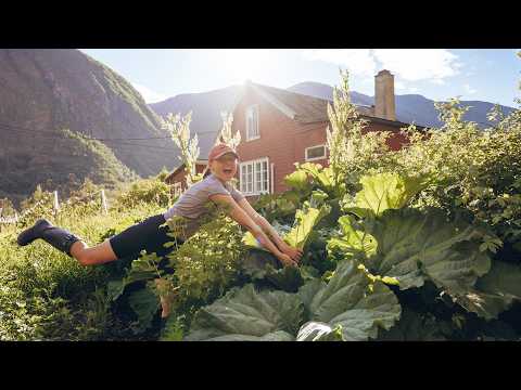 Der Garten explodiert😰 | Sommeranfang in meiner Hütte in Norwegen