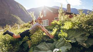 Der Garten explodiert😰 | Sommeranfang in meiner Hütte in Norwegen