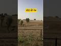 घोड़े की रेस                          #horse #shortvideo #viralvideo #race
