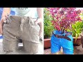 CRAZY Ideas - Cement and Jeans - How to make flower pots from cement and jeans
