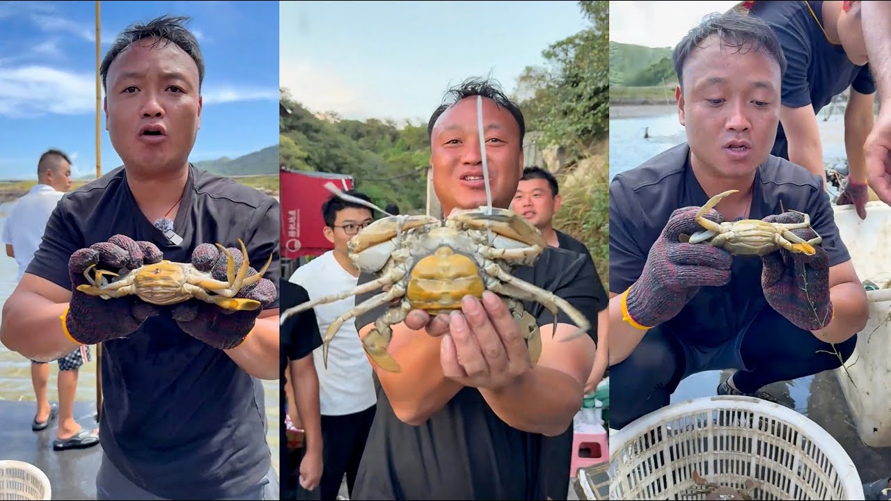 Bỏ ra 18.000 để bao ao cua xanh trên đảo sắp giải tỏa, lần này bao ao cua chắc lời to rồi