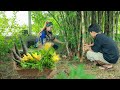 Bamboo Shoot after Raining is so good to eat | Collect available Healthy Vegetable | Mommy Cooking