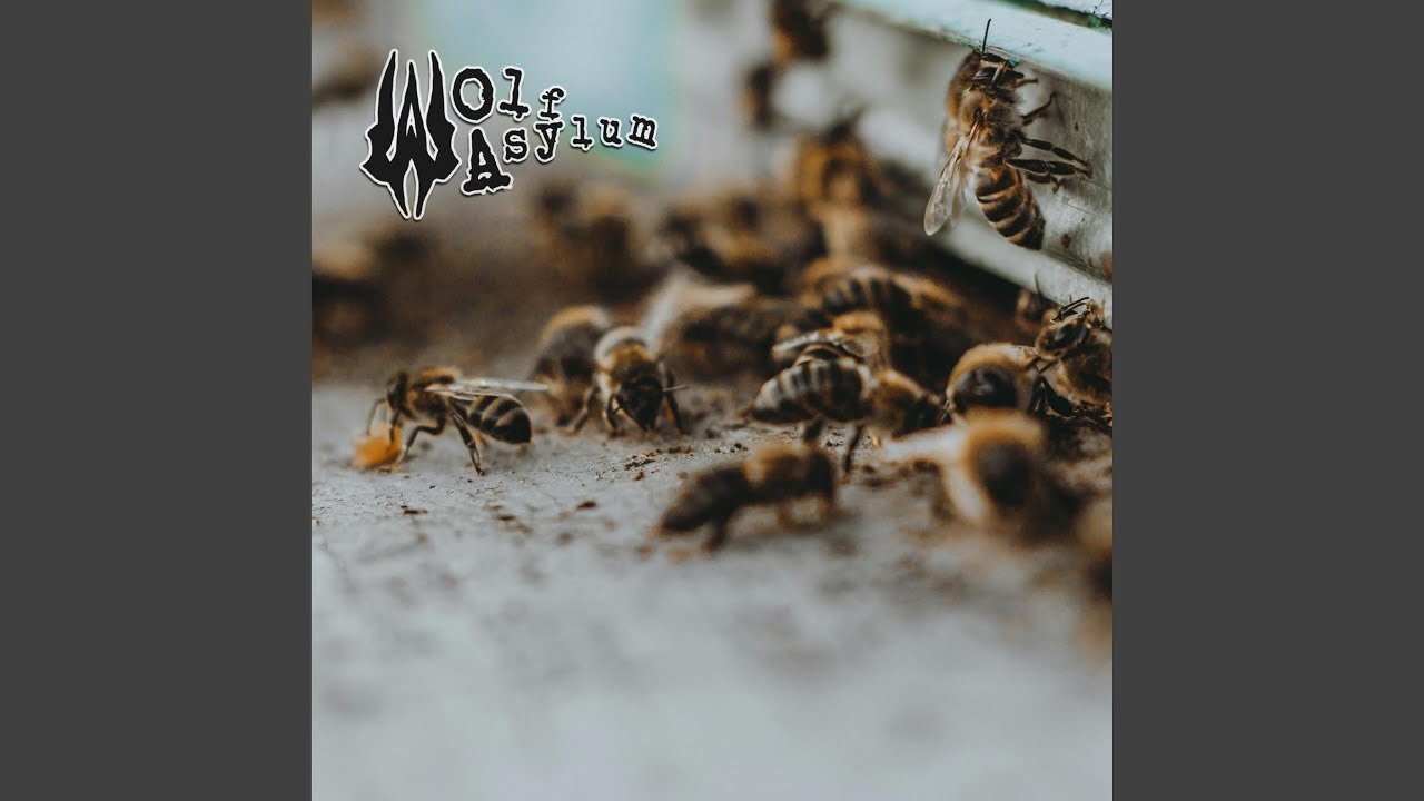 Watch 303 Machine on YouTube Watch 303 Machine on YouTube