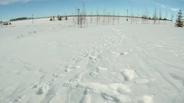 Bumblebee Quadcopter - Maiden Outdoor Flight