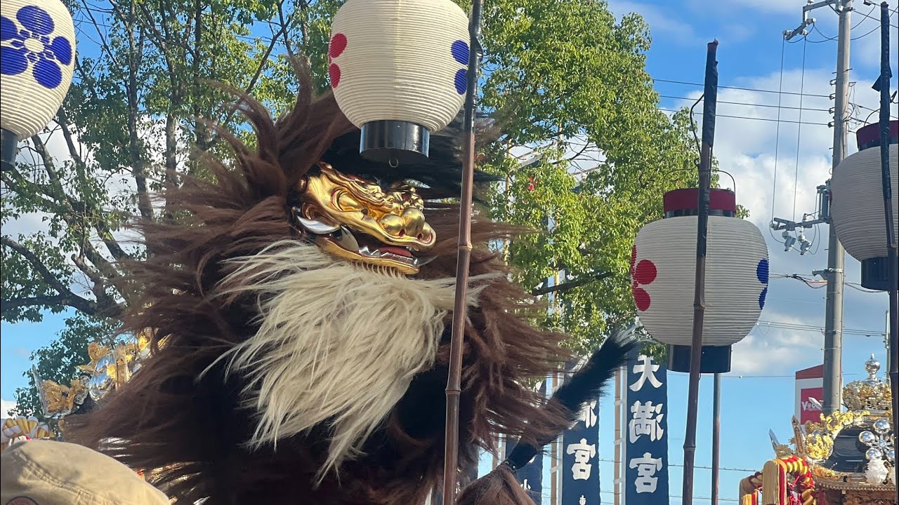 播州秋祭り】令和七年大塩天満宮秋祭り 10月15日 毛獅子道中舞【牛谷丁