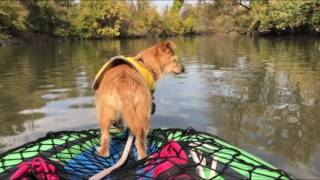 Penny Kayaking on Darby Creek with the Intex Challenger K1 Kayak