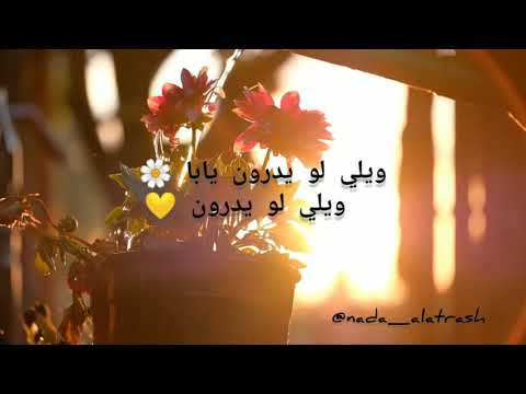 حالات واتس فيس انستا ويلي لو يدرون معين شريف 