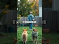 Daily Harmony: Practical Pet Friendly Routines