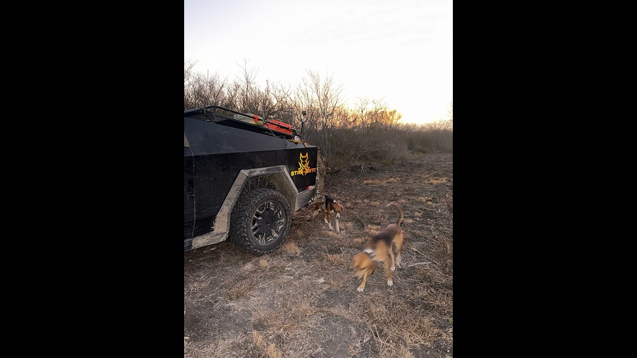 Охота на рысь в тумане