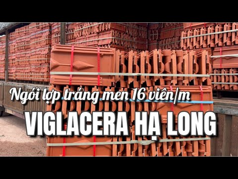 Ngói 16 Tráng Men Viglacera Hạ Long