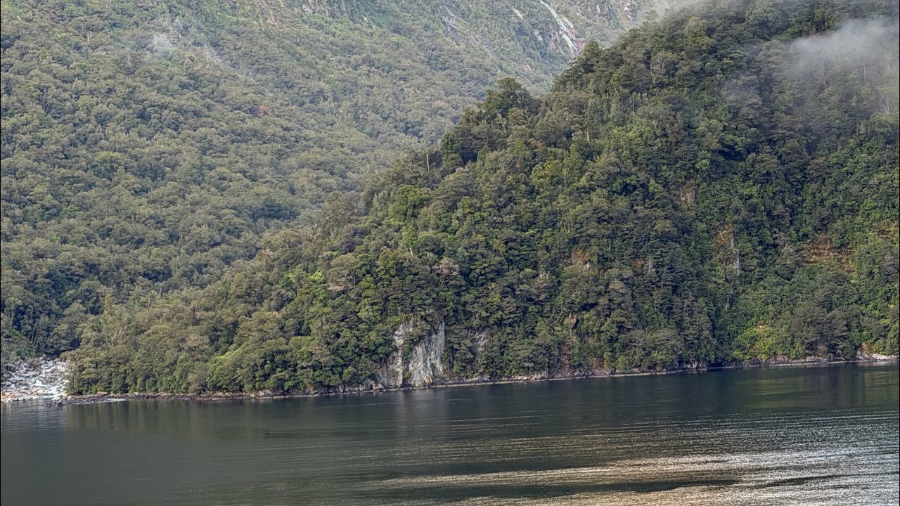 Live from the Celebrity Edge