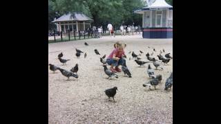 Kate Bollinger  A Couple Things