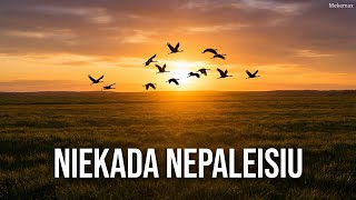 Aš Tavęs Niekada Nepaleisiu - Mekemax Varonis Official Music Video 2026