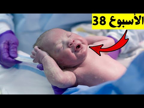 الأسبوع 38 من الحمل هل ممكن الولادة في هذا الأسبوع واحتياطات إجبارية للحامل في الأسبوع 38