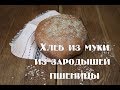 Хлеб из муки из зародышей пшеницы. Вкусно и полезно .