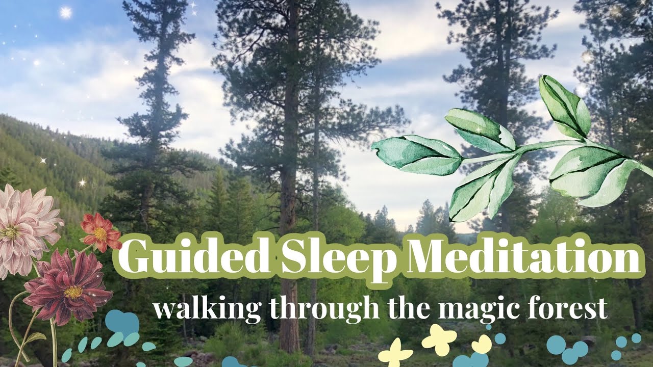 GUIDED SLEEP MEDITATION✨🌲 (walking through a magic forest visualization)