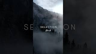 Are you ready for Selection Vol.3?