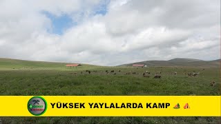 Yüksek Yaylalarda Kamp Yaylada Yağmurlu Ve Soğuk Bi̇r Gece Geçi̇rdi̇k 4K Vi̇deo