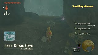 Lake Kilsie Cave BubbulFrog Location : Zelda Tears of The Kingdom.