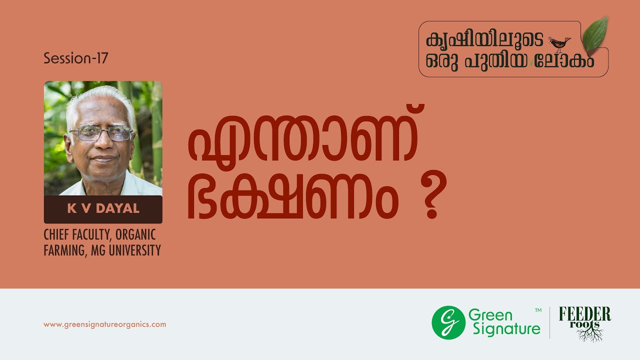 എന്താണ് ഭക്ഷണം?