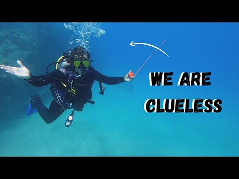 邦楽 REVILLOS yeah yeah scuba scuba 邦楽 REVILLOS yeah yeah
